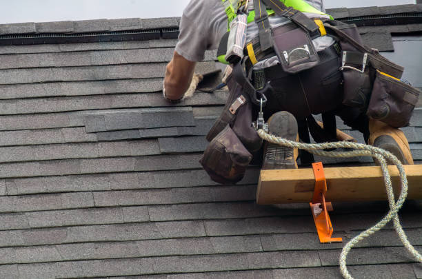 Best Storm Damage Roof Repair  in Island Lake, IL